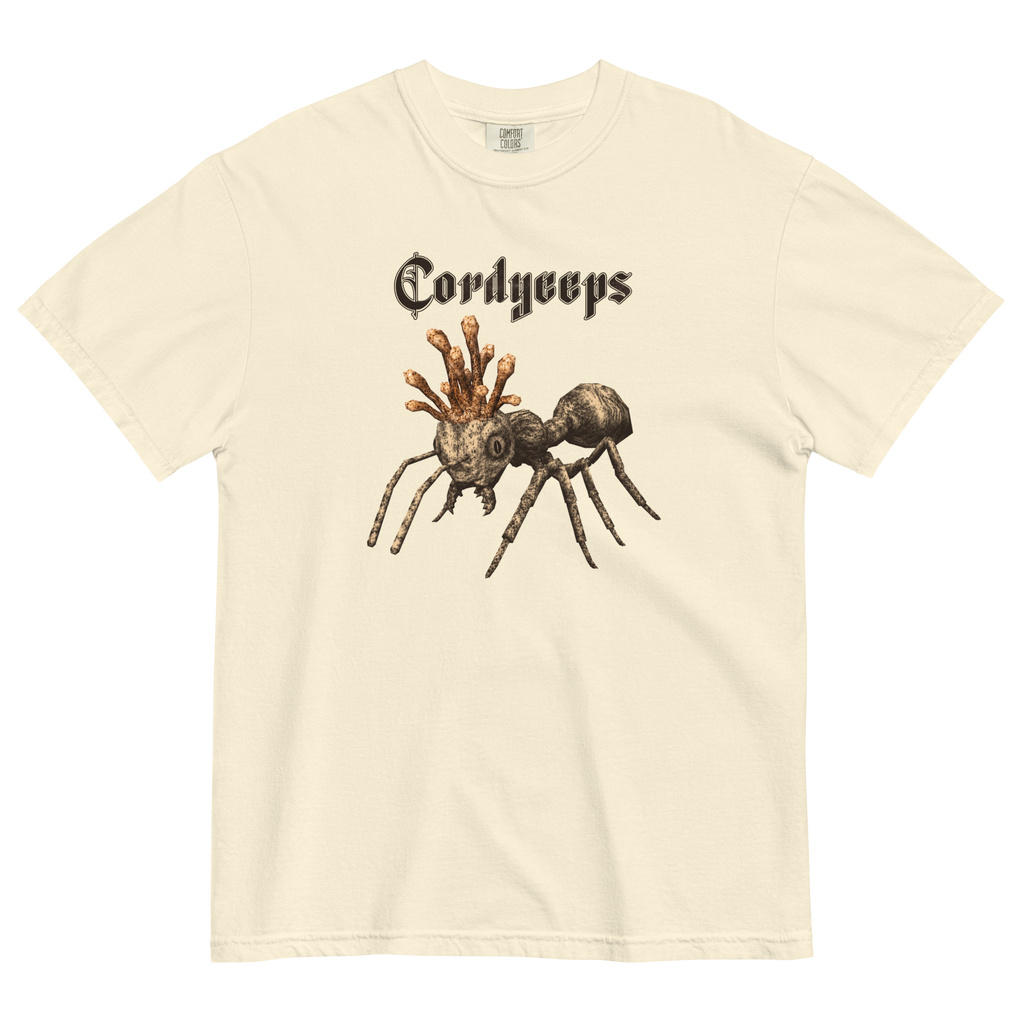 Cordyceps
