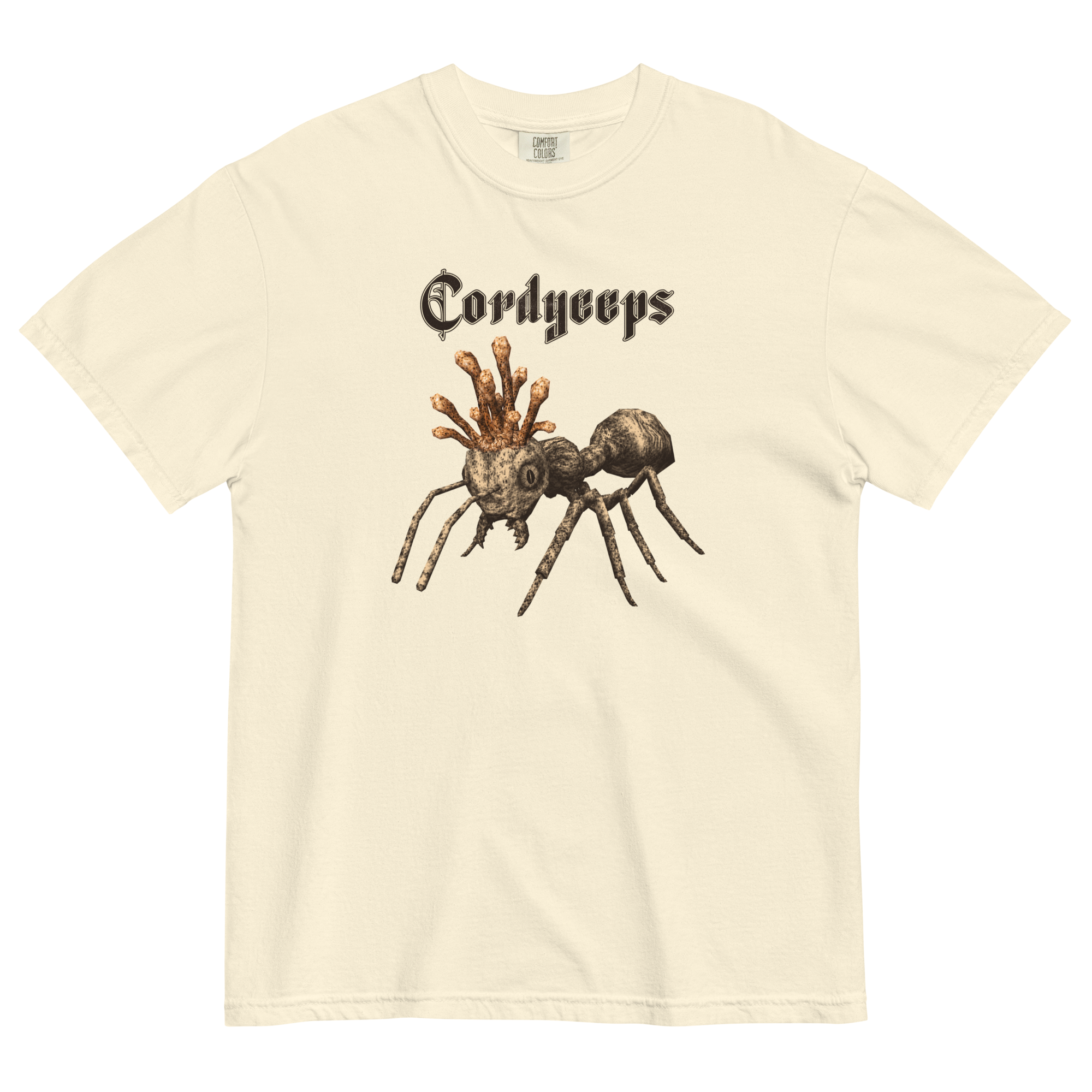 Cordyceps